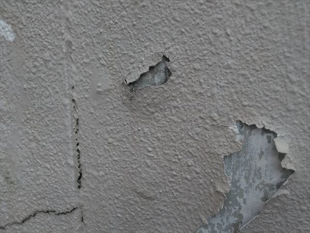 ブロック塀の塗膜剥がれ