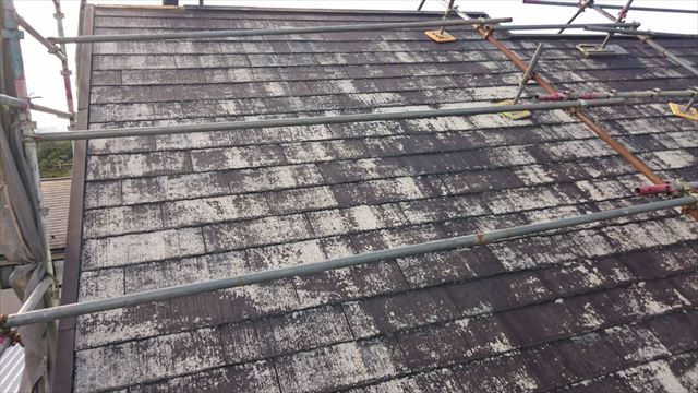 瀬戸市、洗浄した屋根
