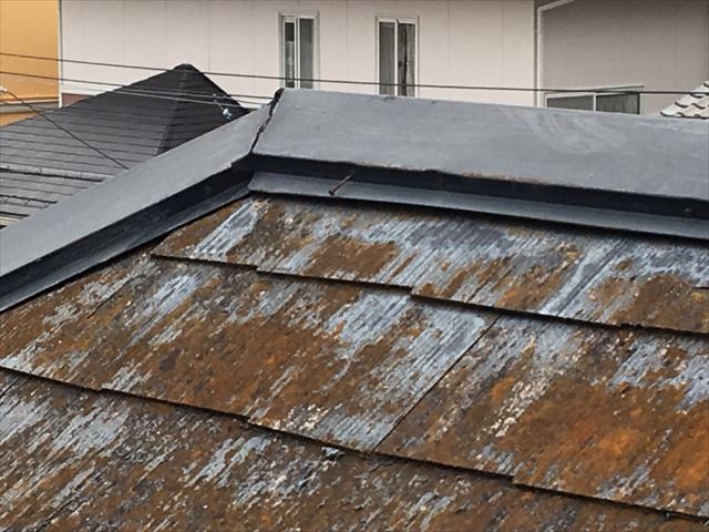 スレート屋根に大量のカビ発生